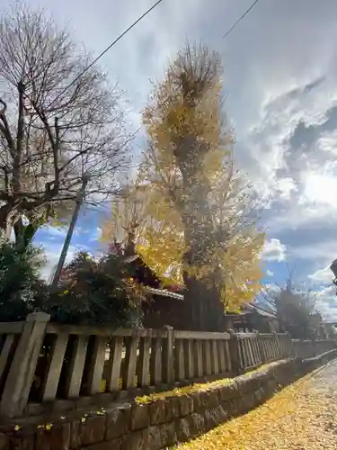 宇賀神社の自然