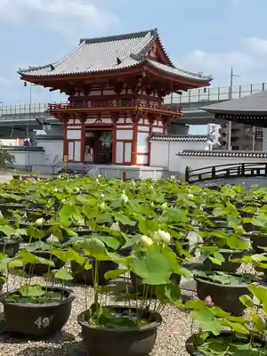 喜光寺のその他建物