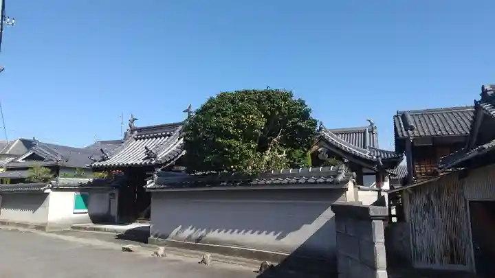 光明寺(大阪府)