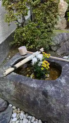 善長寺(京都府)