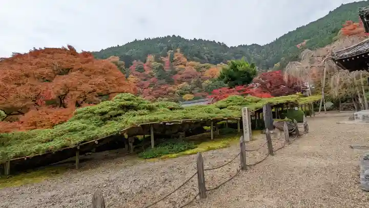 善峯寺(京都府)