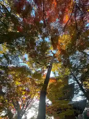 三寳寺(東京都)