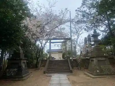 椿ノ海　水神社の{uncategorized: "未分類", other: "その他", undefined: "問題あり", building: "その他建物", grave: "お墓", sacred_gate: "鳥居", guardian: "狛犬", statue: "像", buddha: "仏像", history: "歴史", nature: "自然", garden: "庭園", animal: "動物", pagoda: "塔", temizu: "手水舎", mountain_gate: "山門・神門", sanctuary: "本殿・本堂", subordinate: "末社・摂社", art: "芸術", scenery: "景色", jizo: "地蔵", ema: "絵馬", goshuin: "御朱印", omikuji: "おみくじ", items: "授与品その他", amulet: "お守り", goshuincho: "御朱印帳", eats: "食事", festival: "お祭り", votive_dance: "神楽", shichigosan: "七五三参", wedding: "結婚式", experience: "体験その他", initially: "初詣", around: "周辺", anti_infection: "感染症対策"}