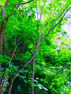 星宮神社の自然