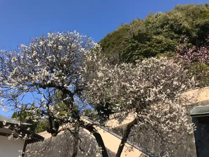 高松寺の自然