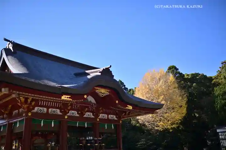 鶴岡八幡宮の神楽