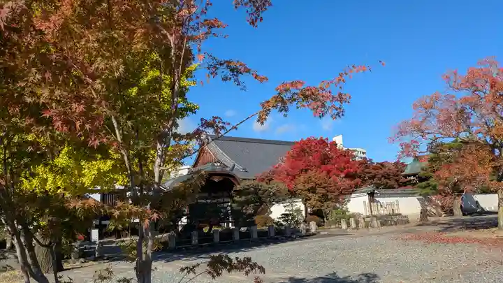 妙覺寺(妙覚寺)(京都府)