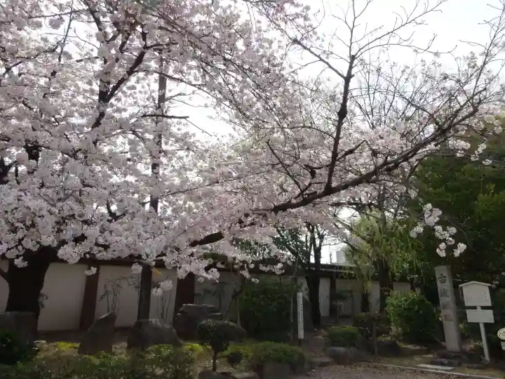 真宗大谷派名古屋別院(愛知県)