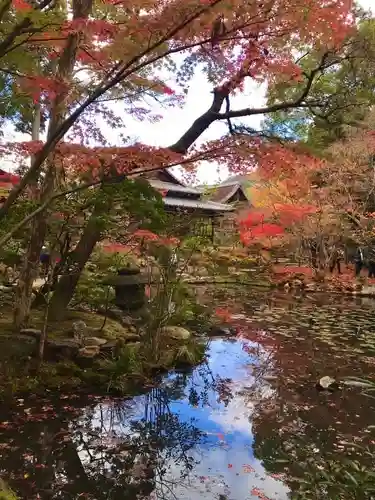 天授庵の庭園