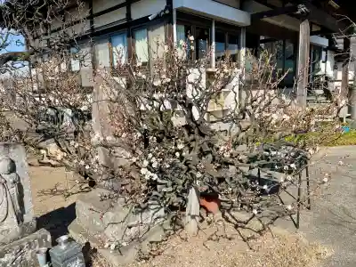 天王院(埼玉県)