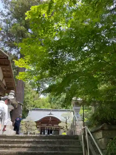 富松神社の{uncategorized: "未分類", other: "その他", undefined: "問題あり", building: "その他建物", grave: "お墓", sacred_gate: "鳥居", guardian: "狛犬", statue: "像", buddha: "仏像", history: "歴史", nature: "自然", garden: "庭園", animal: "動物", pagoda: "塔", temizu: "手水舎", mountain_gate: "山門・神門", sanctuary: "本殿・本堂", subordinate: "末社・摂社", art: "芸術", scenery: "景色", jizo: "地蔵", ema: "絵馬", goshuin: "御朱印", omikuji: "おみくじ", items: "授与品その他", amulet: "お守り", goshuincho: "御朱印帳", eats: "食事", festival: "お祭り", votive_dance: "神楽", shichigosan: "七五三参", wedding: "結婚式", experience: "体験その他", initially: "初詣", around: "周辺", anti_infection: "感染症対策"}