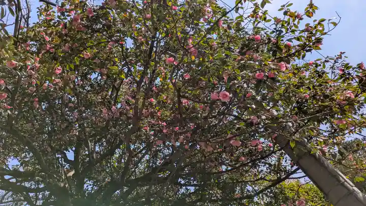 霊源院(京都府)