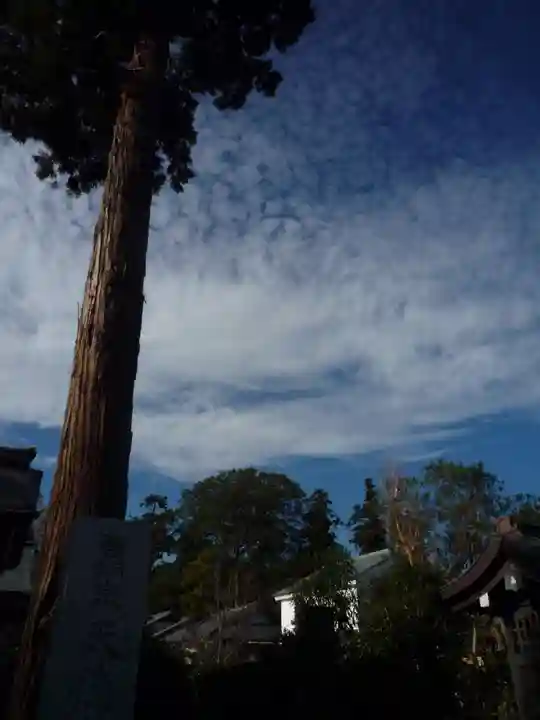 龍泉院(千葉県)