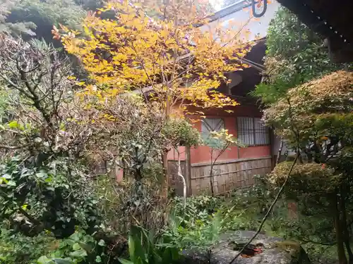 龍潭寺の本殿・本堂