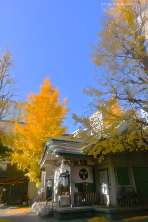 銀杏岡八幡神社(東京都)