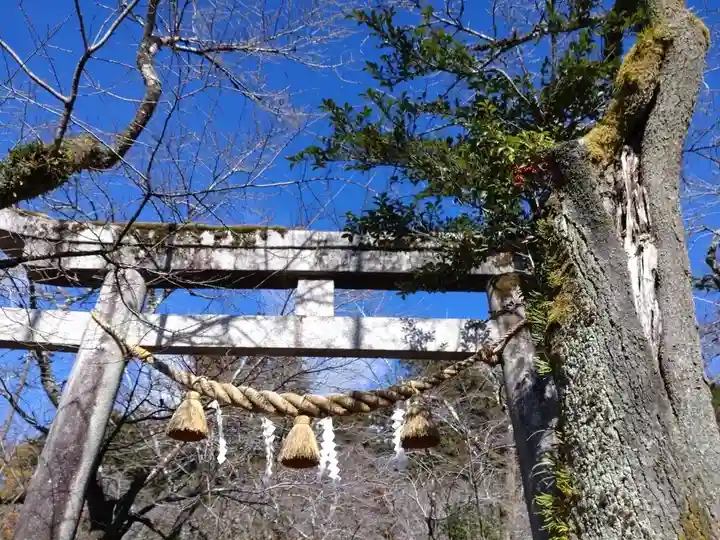 天鷹神社の鳥居