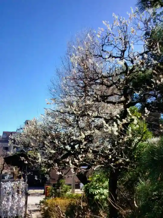 布多天神社(東京都)