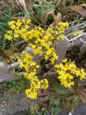 佐倉宗吾大明神の自然
