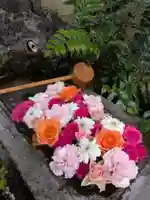 本郷氷川神社(東京都)