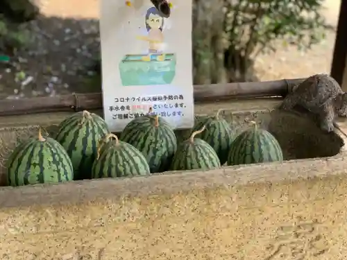 富里香取神社の手水舎