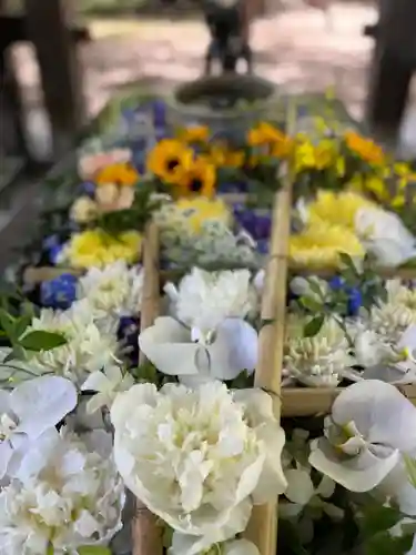 札幌護國神社の手水