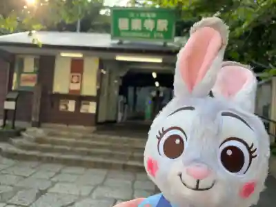御霊神社(神奈川県)