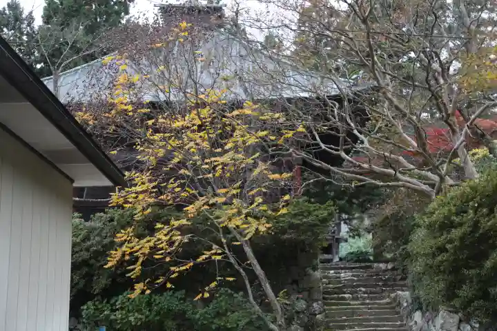 大悲山 観音寺(福島県)