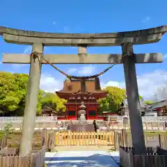 伊賀八幡宮の鳥居