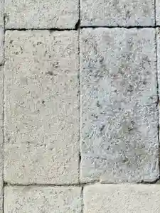 總社 和田八幡宮の景色(2021年10月09日(土) 19時31分18秒投稿)