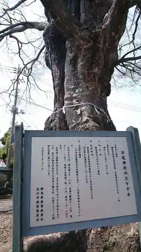 早尾神社のその他建物