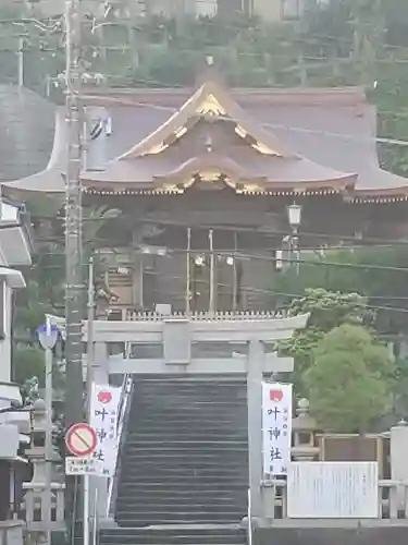 叶神社 (西叶神社)の鳥居