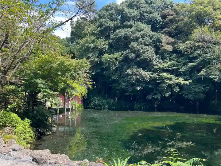 富士山本宮浅間大社(静岡県)