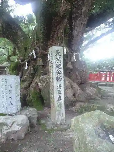 宇美八幡宮の自然