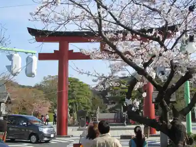 鶴岡八幡宮の鳥居
