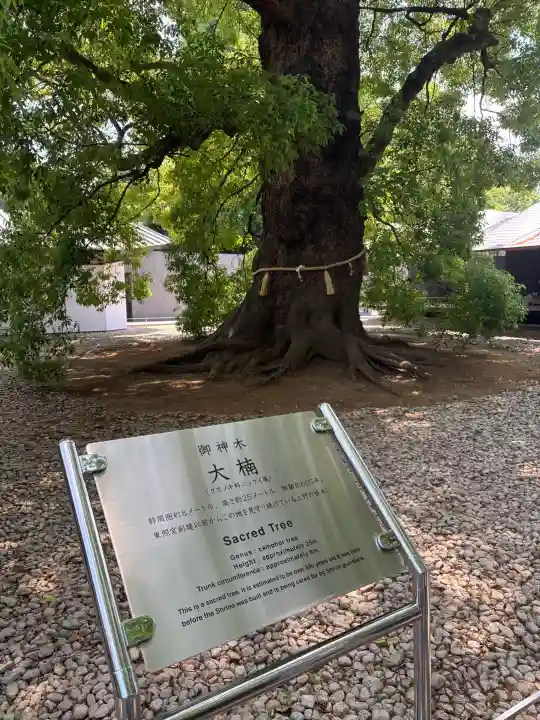 上野東照宮の{uncategorized: "未分類", other: "その他", undefined: "問題あり", building: "その他建物", grave: "お墓", sacred_gate: "鳥居", guardian: "狛犬", statue: "像", buddha: "仏像", history: "歴史", nature: "自然", garden: "庭園", animal: "動物", pagoda: "塔", temizu: "手水舎", mountain_gate: "山門・神門", sanctuary: "本殿・本堂", subordinate: "末社・摂社", art: "芸術", scenery: "景色", jizo: "地蔵", ema: "絵馬", goshuin: "御朱印", omikuji: "おみくじ", items: "授与品その他", amulet: "お守り", goshuincho: "御朱印帳", eats: "食事", festival: "お祭り", votive_dance: "神楽", shichigosan: "七五三参", wedding: "結婚式", experience: "体験その他", initially: "初詣", around: "周辺", anti_infection: "感染症対策"}