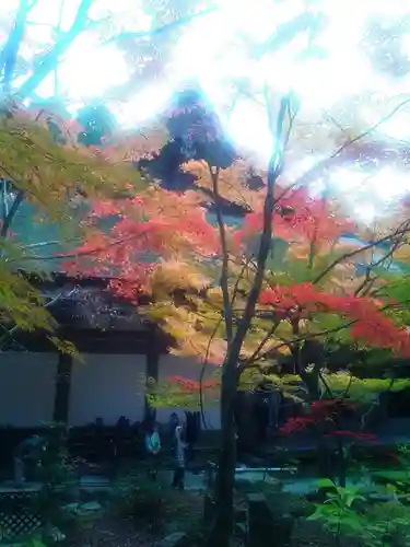 金剛輪寺の自然