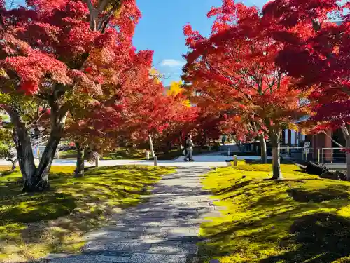  智積院の{uncategorized: "未分類", other: "その他", undefined: "問題あり", building: "その他建物", grave: "お墓", sacred_gate: "鳥居", guardian: "狛犬", statue: "像", buddha: "仏像", history: "歴史", nature: "自然", garden: "庭園", animal: "動物", pagoda: "塔", temizu: "手水舎", mountain_gate: "山門・神門", sanctuary: "本殿・本堂", subordinate: "末社・摂社", art: "芸術", scenery: "景色", jizo: "地蔵", ema: "絵馬", goshuin: "御朱印", omikuji: "おみくじ", items: "授与品その他", amulet: "お守り", goshuincho: "御朱印帳", eats: "食事", festival: "お祭り", votive_dance: "神楽", shichigosan: "七五三参", wedding: "結婚式", experience: "体験その他", initially: "初詣", around: "周辺", anti_infection: "感染症対策"}