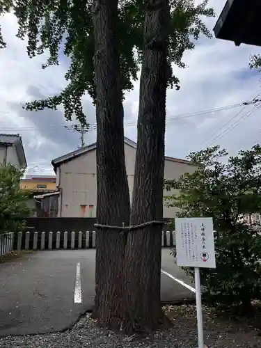 杉杜白髭神社(福井県)