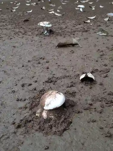 伏木香取神社のその他建物