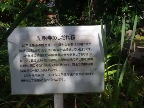 光明寺(山口県)