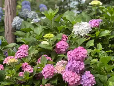 西野神社(北海道)