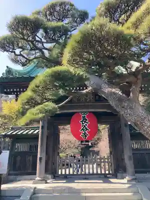 長谷寺の山門・神門