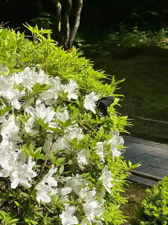 円通院(宮城県)