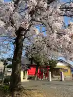厳島神社(埼玉県)