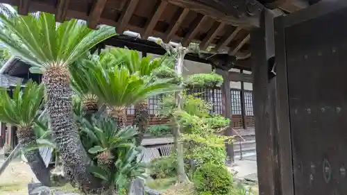 蓮臺寺(京都府)