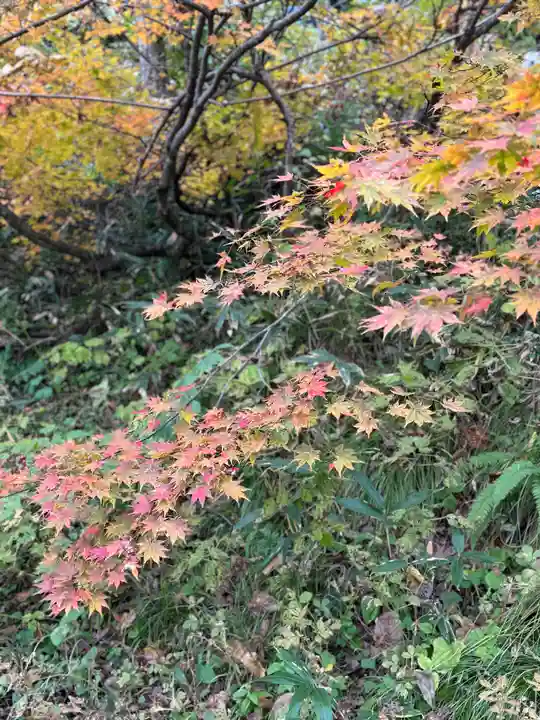 戸隠神社奥社(長野県)