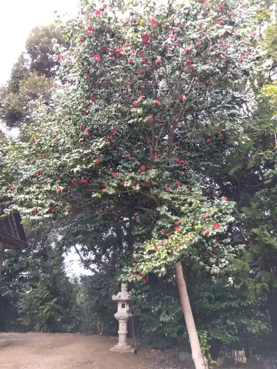 大国主命社(石川県)