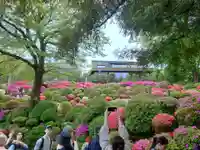 根津神社(東京都)