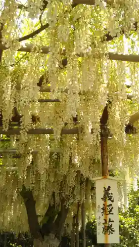 白旗神社の庭園