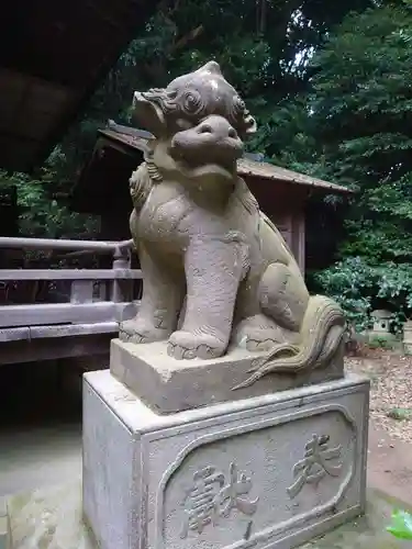 冨塚八幡宮の狛犬